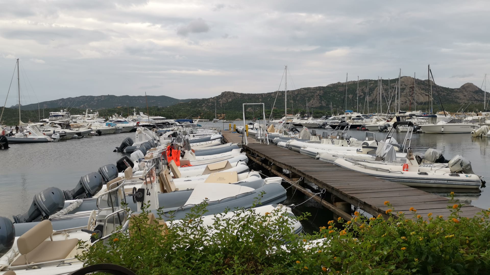RIB rental cost in Cannigione: Clear rates and great flexibility