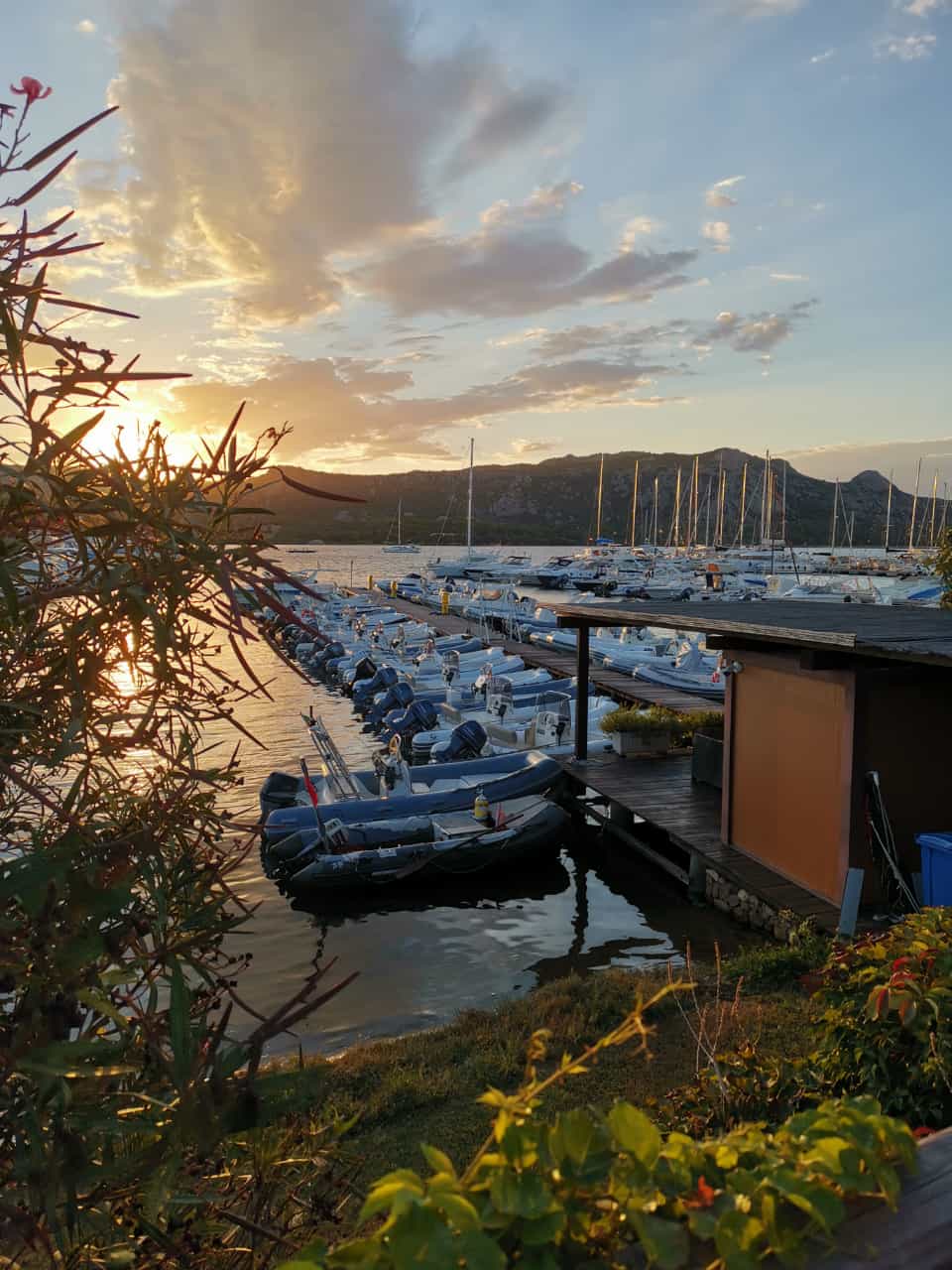 Complete guide to RIB rental in Cannigione: Experience Gallura from the sea