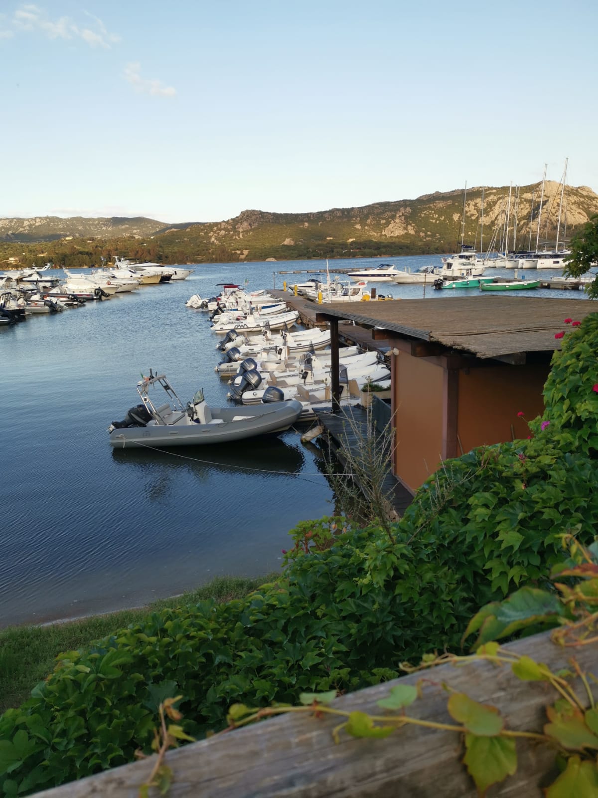 Nautilus Sardegna: Safety, experience, and passion for the sea