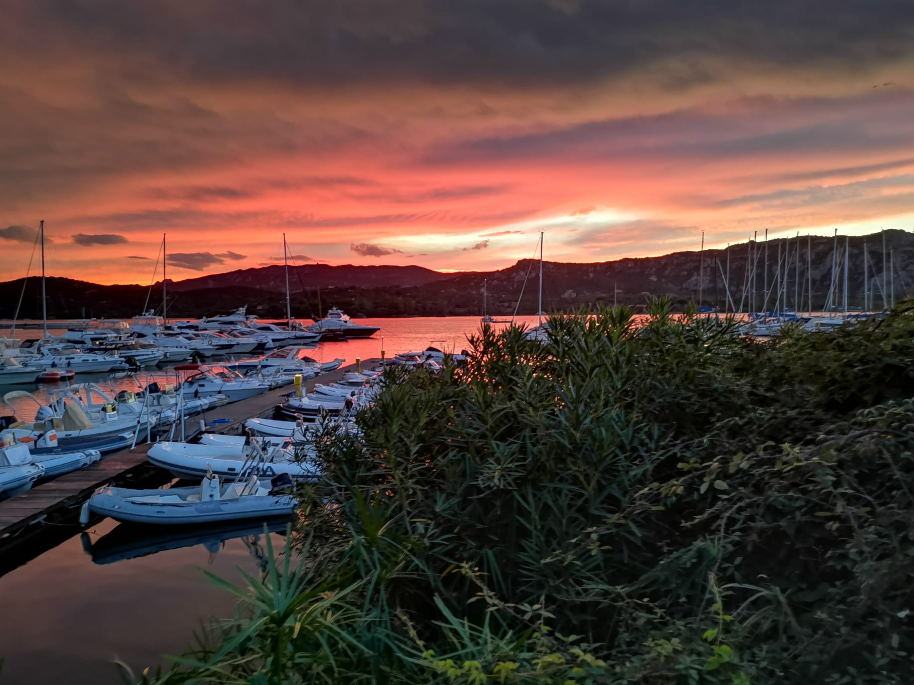 Boat Mooring in Cannigione: All the services of the Pontile del Fico
