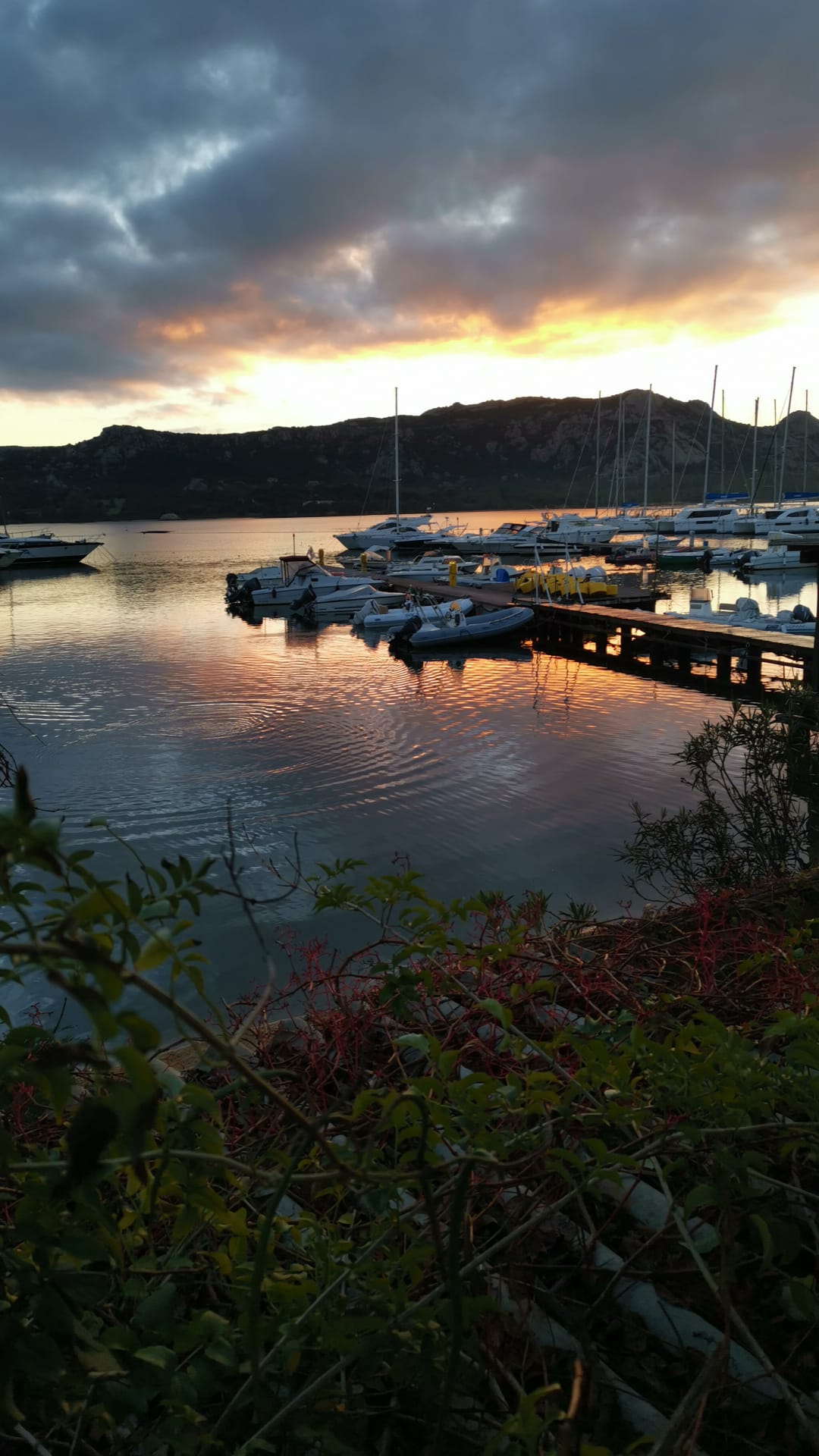RIB rental without a boat license in Cannigione: Discover the Expo 600